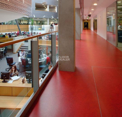 Forbo Marmoleum Decibel on Order 313135 scarlet фото 2 | FLOORDEALER